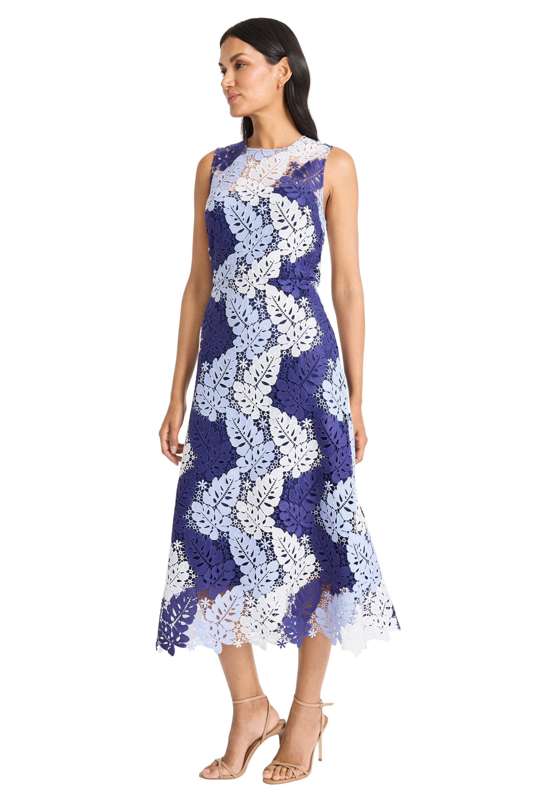 Rinna Ombre Sleeveless Lace Midi - Image 4